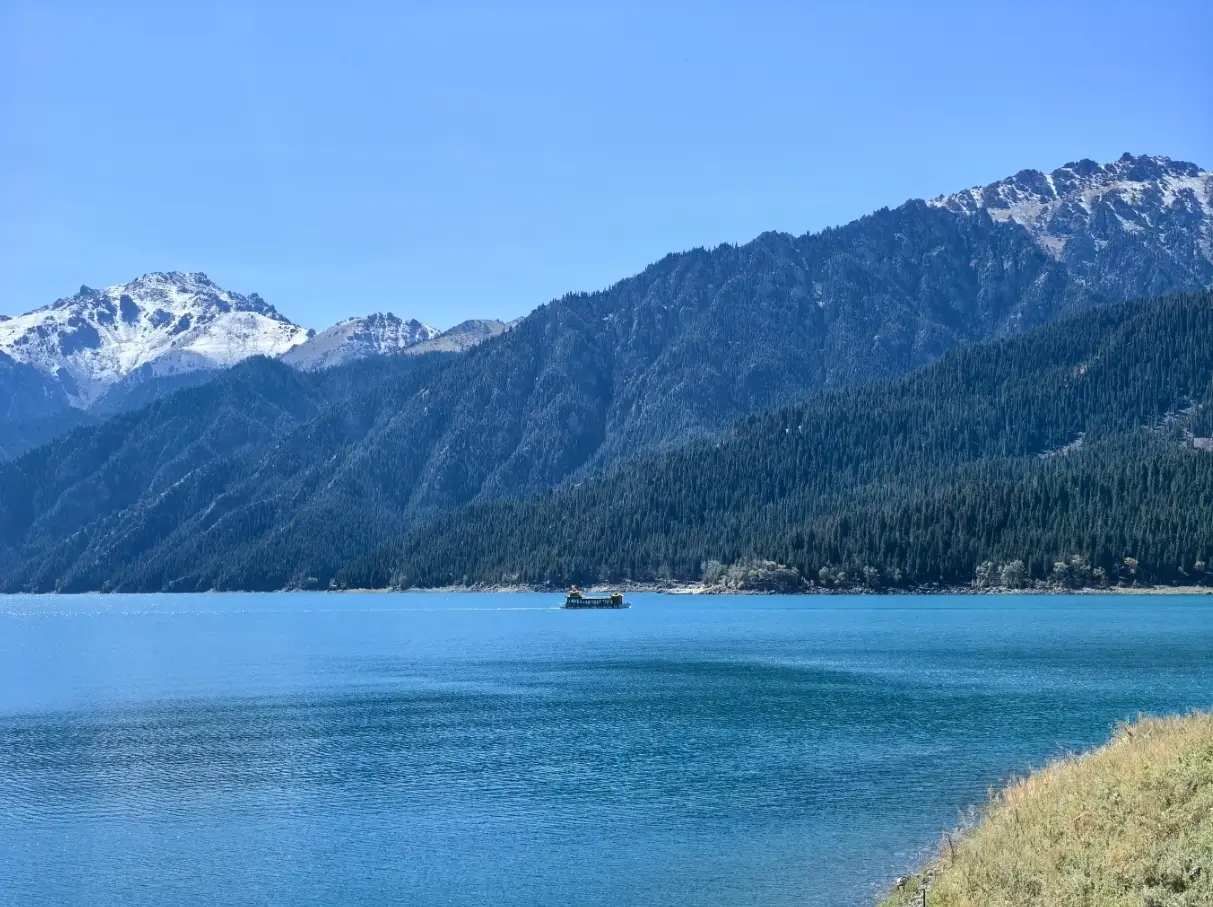 中日斗法（4）龙困黑土